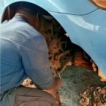 Mechanic installing a shock